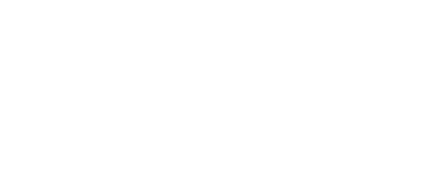 Swiss World Grant Funding